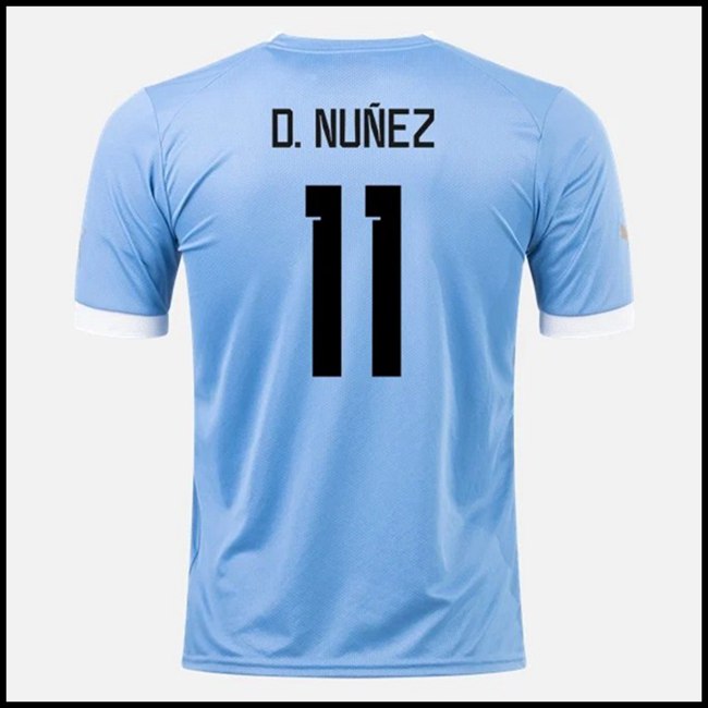 Nogometni Dres Urugvaj D NUNEZ #11 Domaći Komplet Svjetsko Prvenstvo 2022