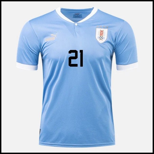 Urugvaj E CAVANI #21 Dres,izrada Nogometni Dres Urugvaj E CAVANI #21 Domaći Komplet Svjetsko Prvenstvo 2022 online