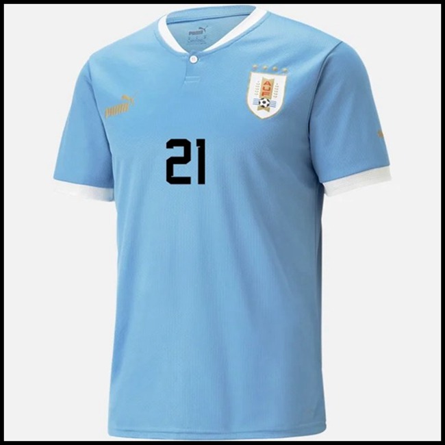 Urugvaj E CAVA # Odjeća,jeftini Nogometni Dres Urugvaj E CAVA # Domaći Komplet Svjetsko Prvenstvo 2022 fan shop